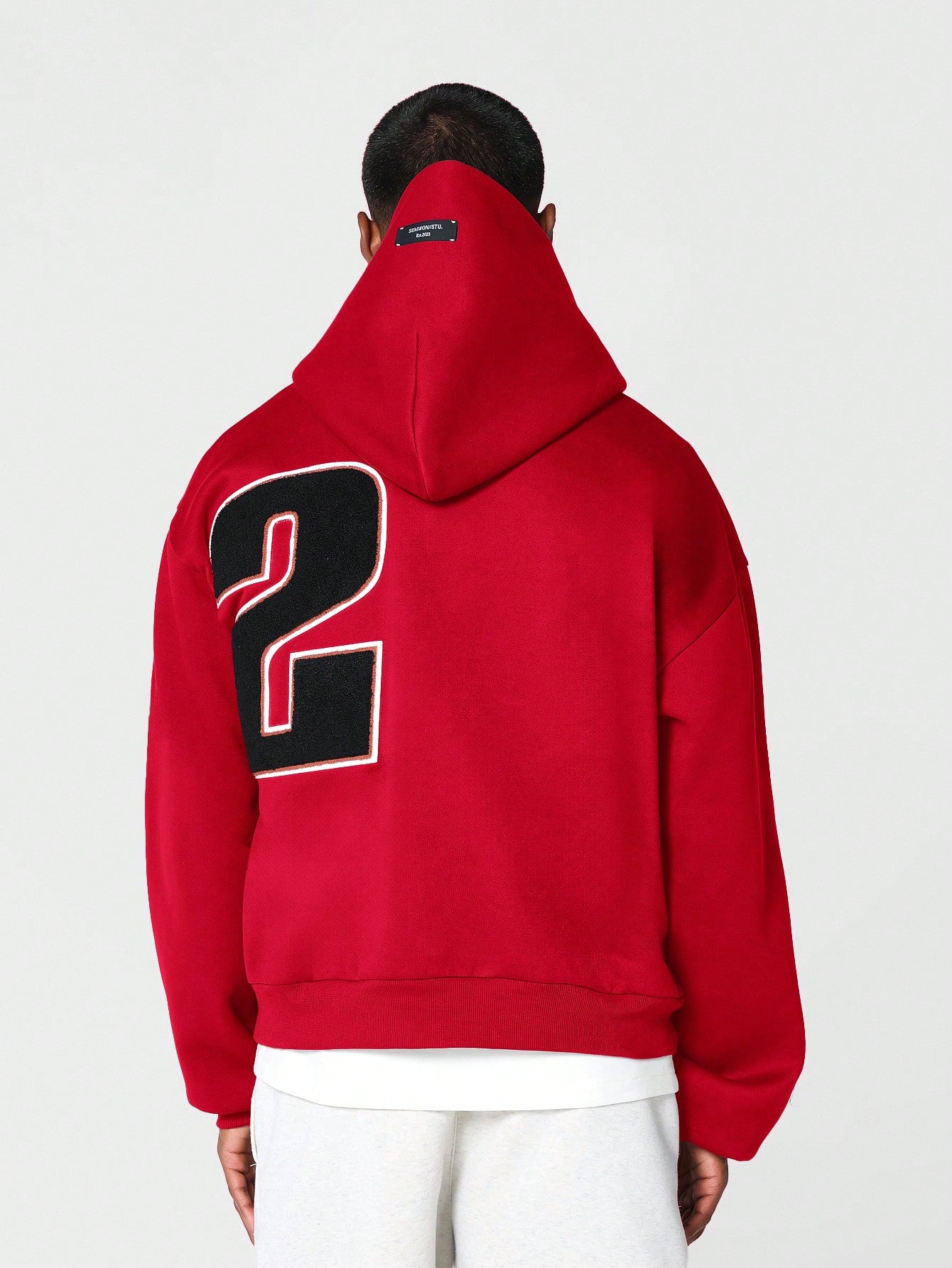 Regular Fit Overhead Hoodie With Applique Embroidery