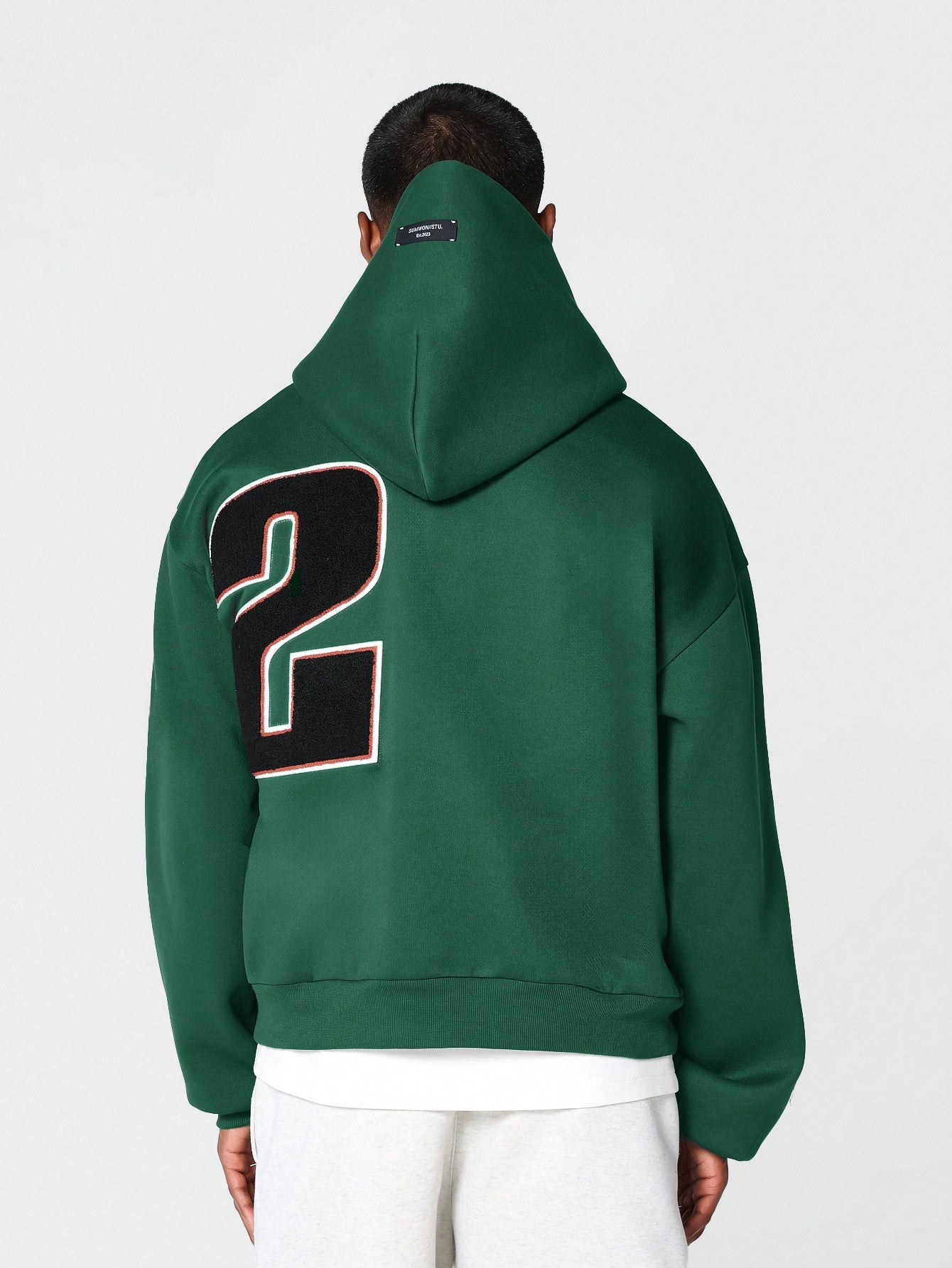 Regular Fit Overhead Hoodie With Applique Embroidery