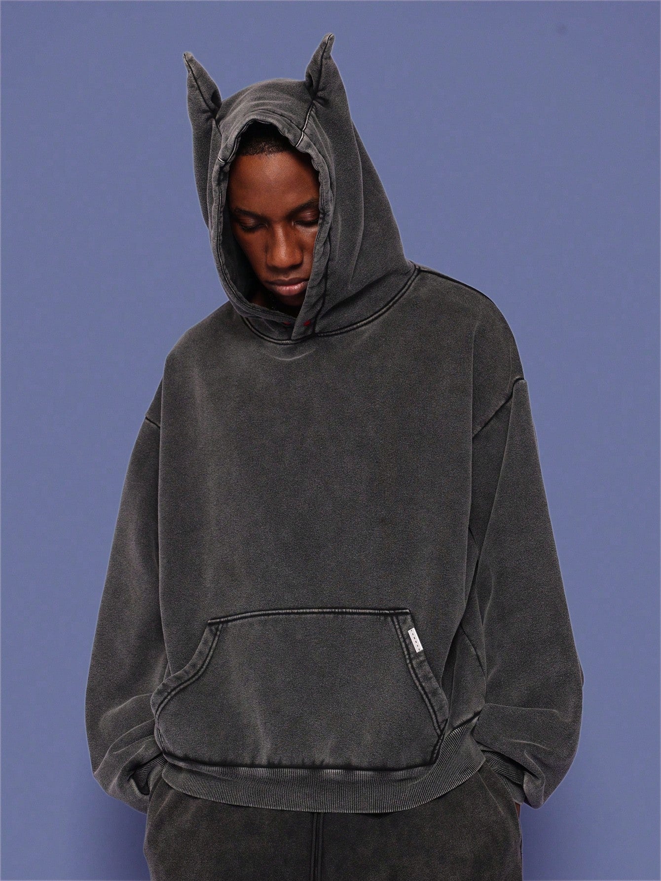 Regular Fit Overhead Washed Hoodie With Ears