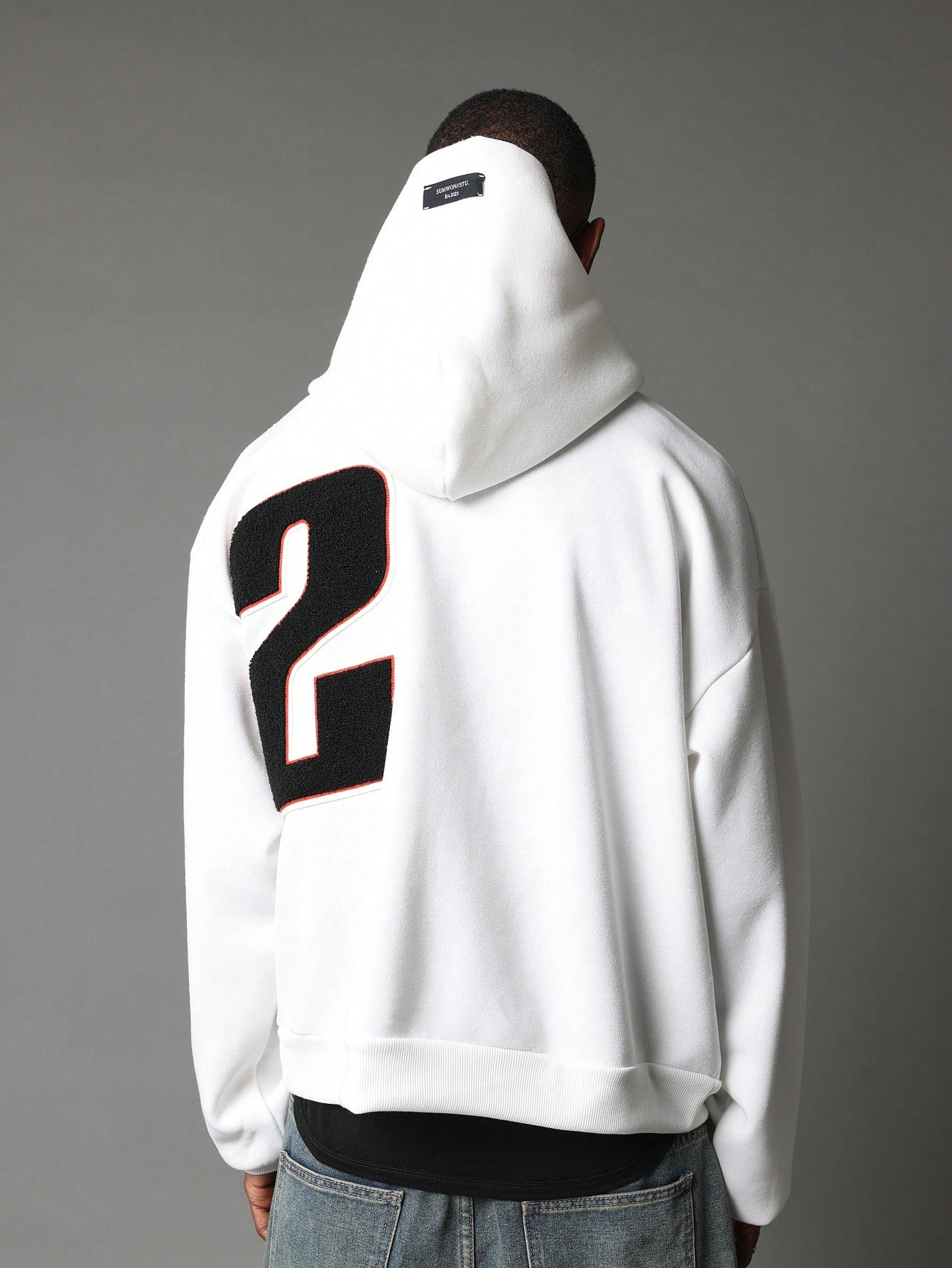 Regular Fit Overhead Hoodie With Applique Embroidery