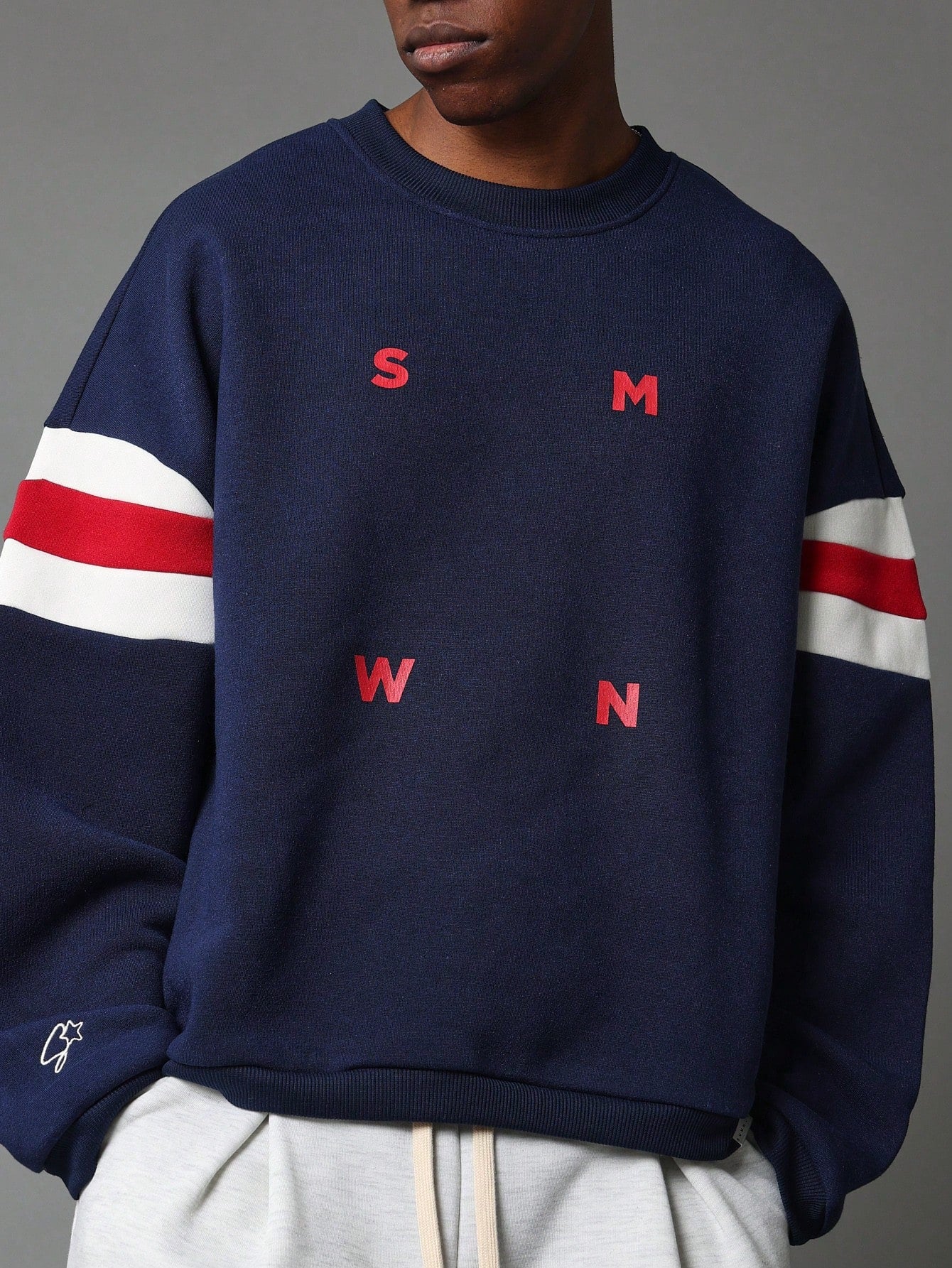 Regular Fit Colour Block Sweatshirt With Small Graphic Print