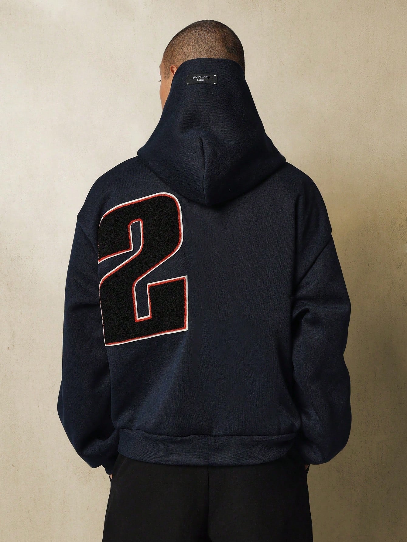 Regular Fit Overhead Hoodie With Applique Embroidery