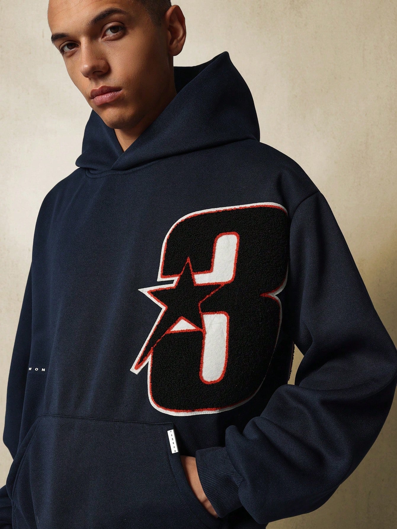 Regular Fit Overhead Hoodie With Applique Embroidery