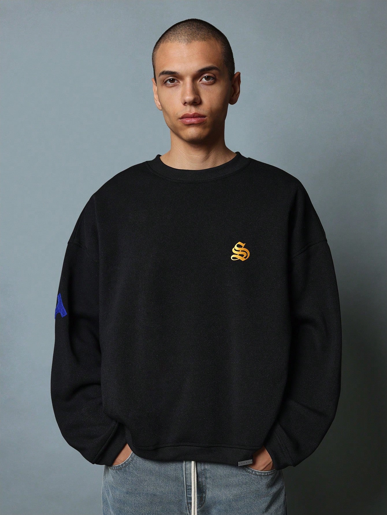 Oversized Fit Crew Neck Sweatshirt With Embroidered Large Applique Pattern & Graphic Print