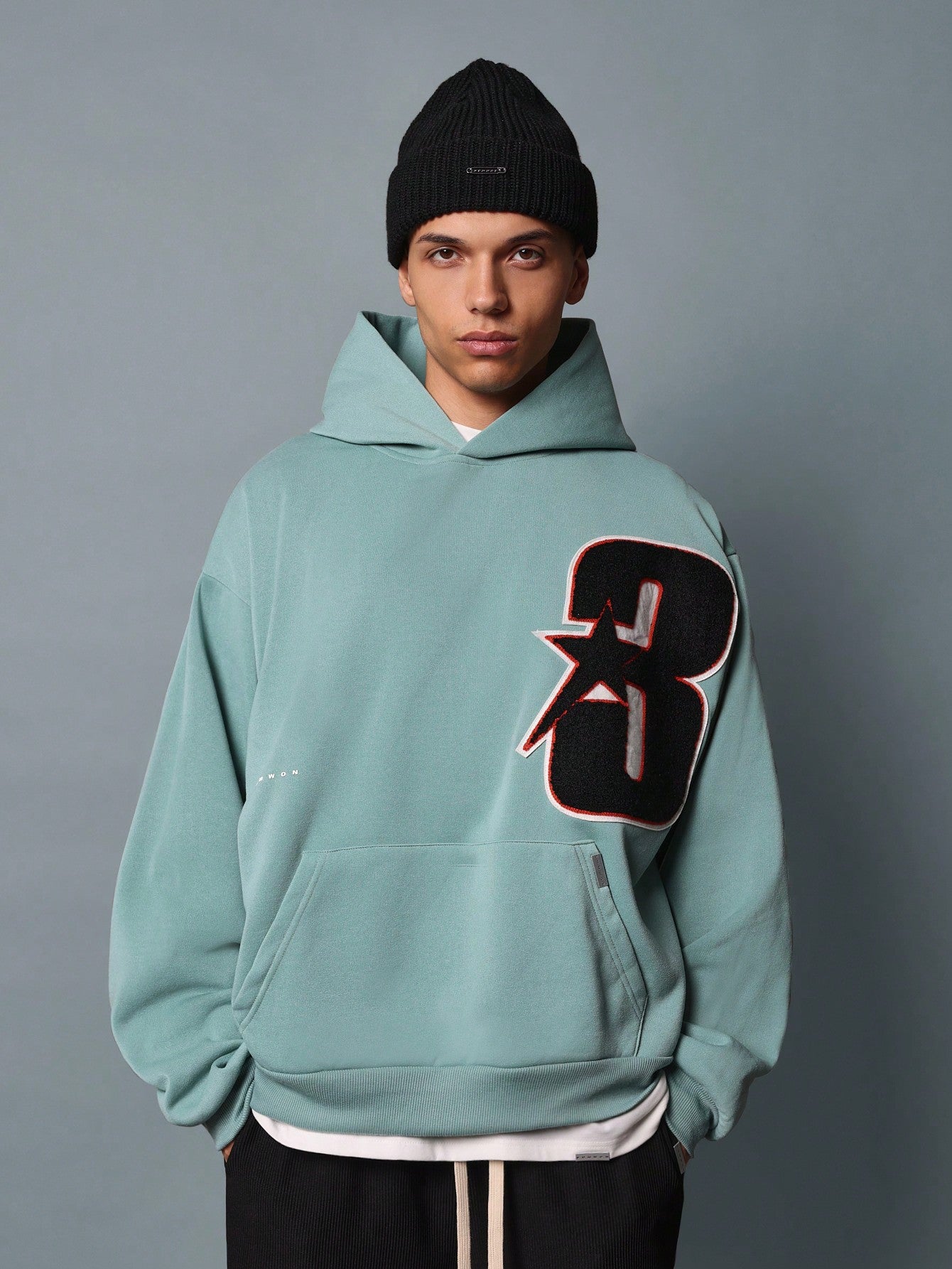 Regular Fit Overhead Hoodie With Applique Embroidery