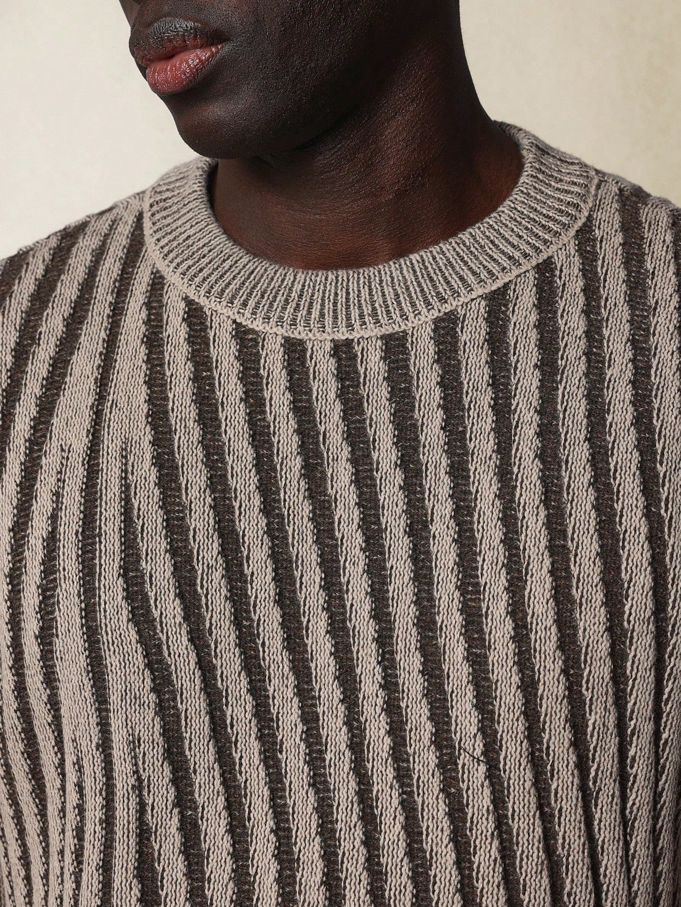 Crop Fit Textured Crew Neck Sweaters