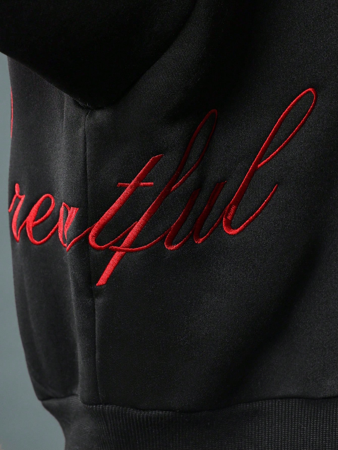 Crop Fit Overhead Hoodie With Signature Embroidery Pattern