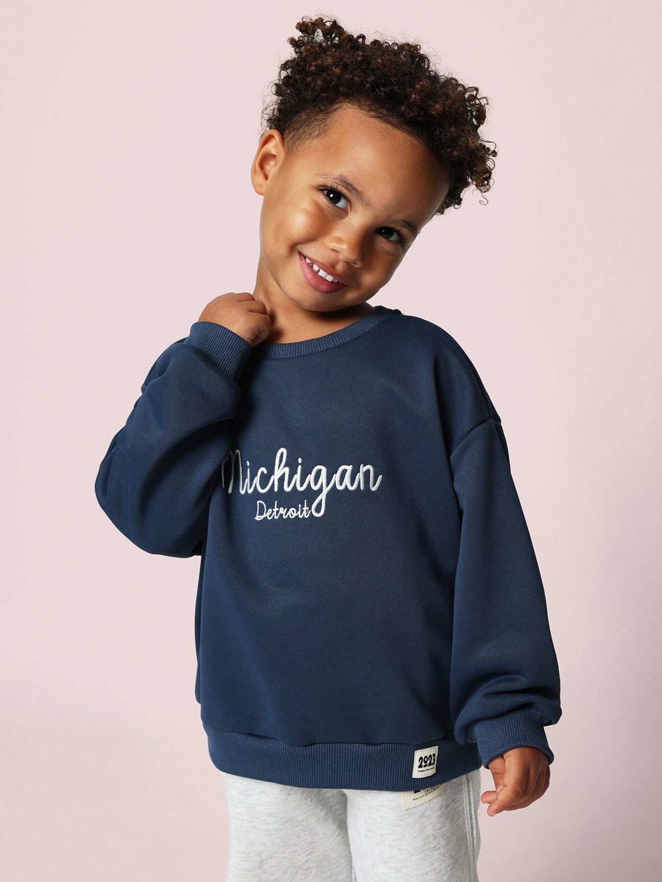 Young Boys Comfy Michigan Graphic Print Sweatshirts