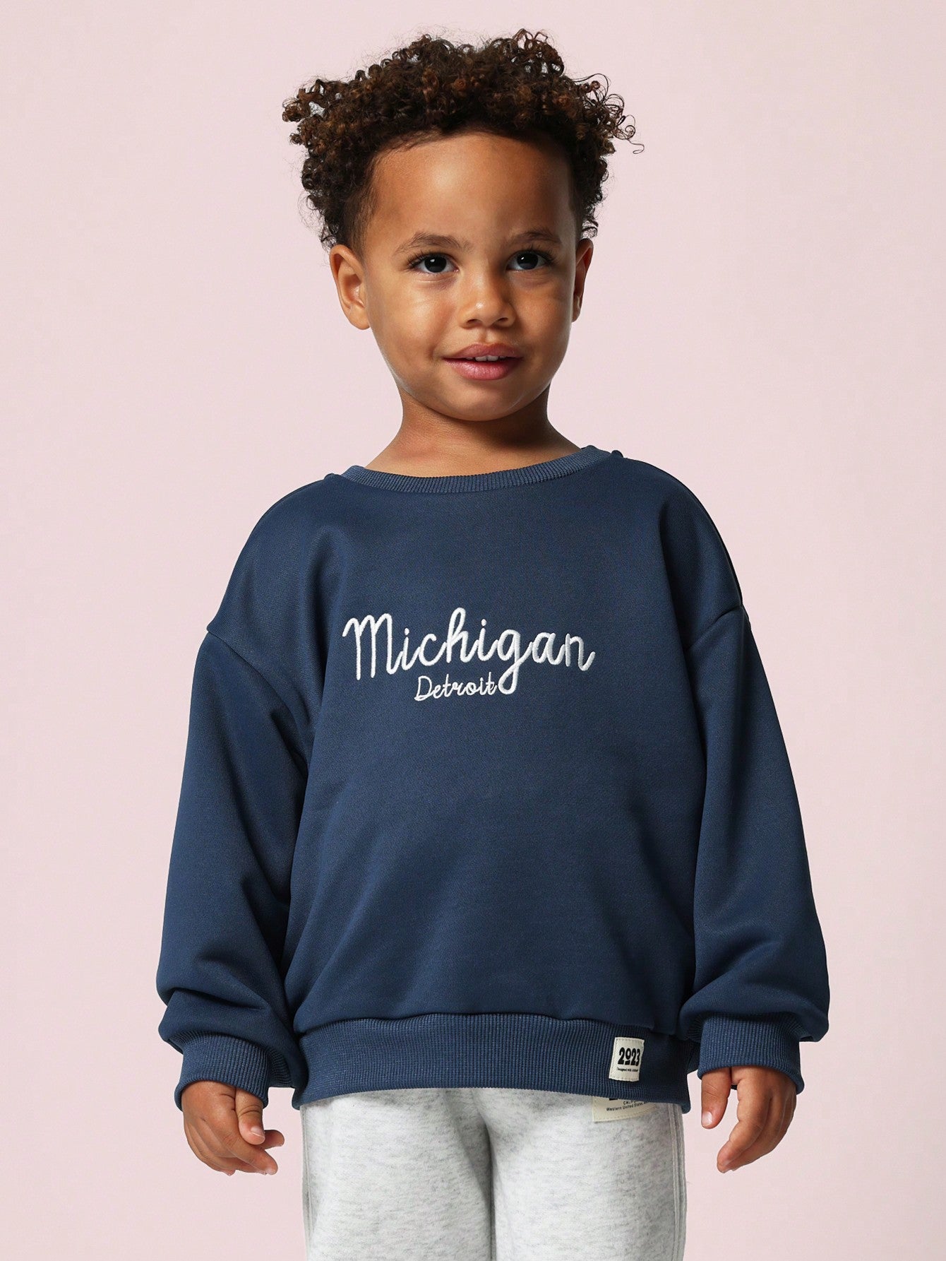 Young Boys Comfy Michigan Graphic Print Sweatshirts