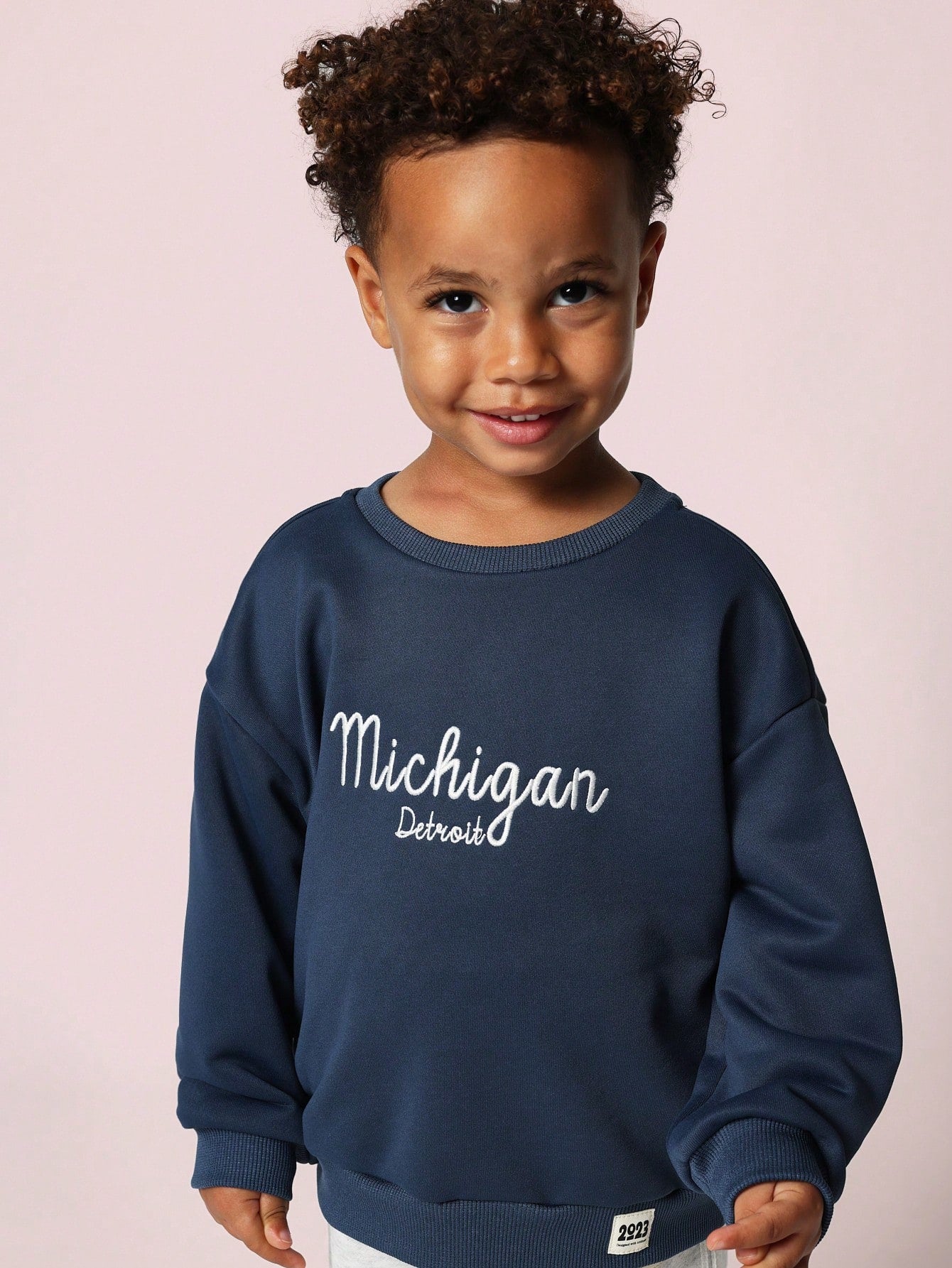 Young Boys Comfy Michigan Graphic Print Sweatshirts